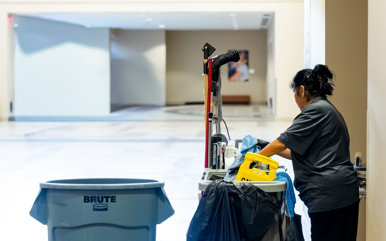 Carpet Cleaning